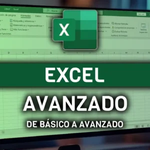 excel profesional