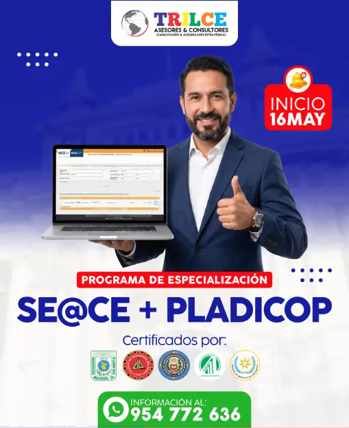 SEACE PADICORP