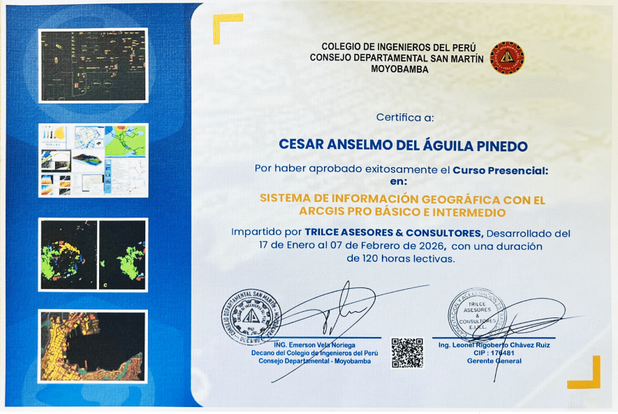 certificado trilce 3